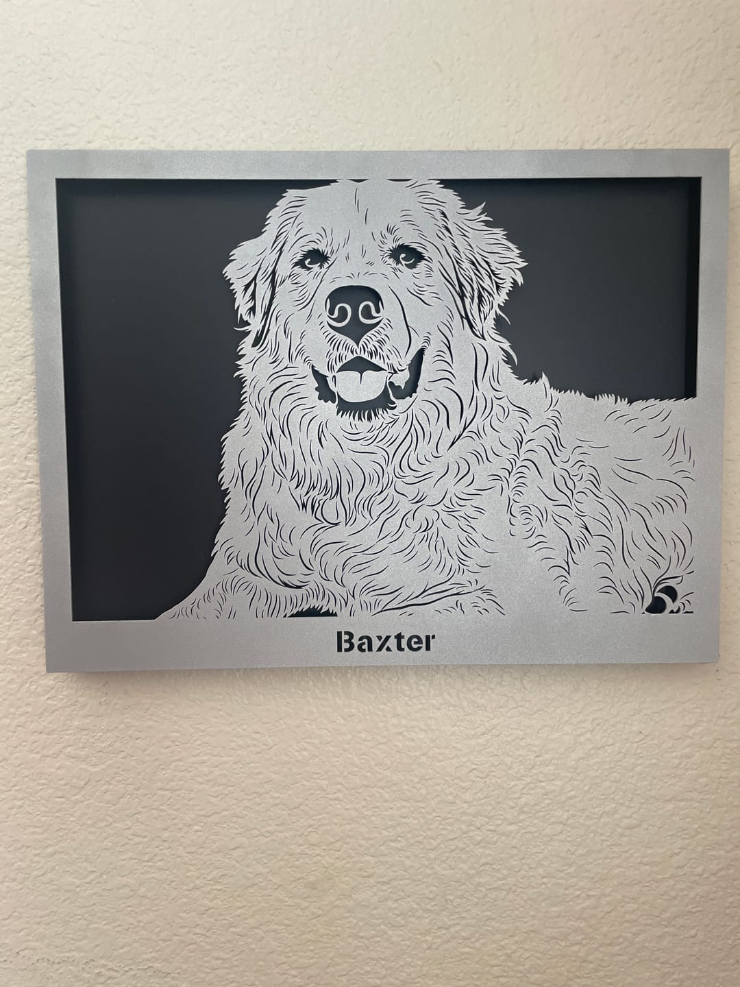 Customer photo review of Custom Pet Metal Portrait