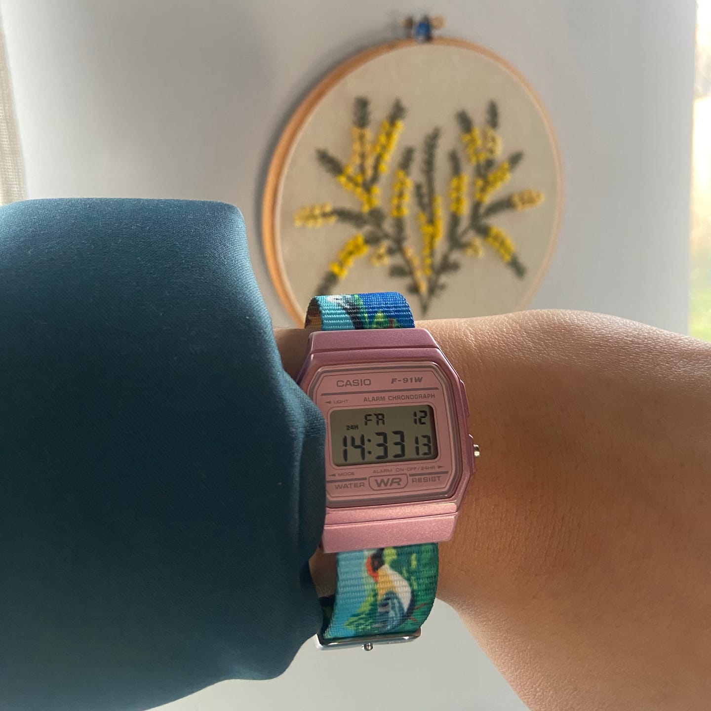 Customer photo review of Correa Dando La Hora Colección Naturaleza Chilena [Sur]