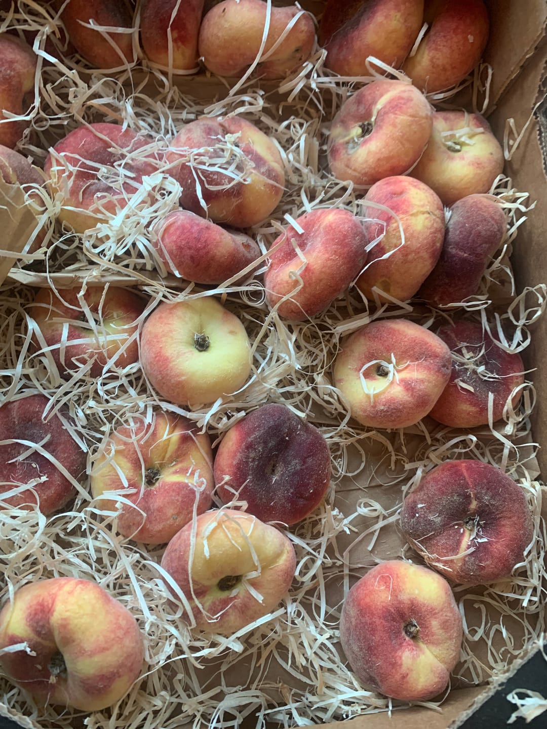 Customer photo review of Weinbergpfirsiche "Paraguayo" Bio von Jordi 2kg Box Sonderpreis %