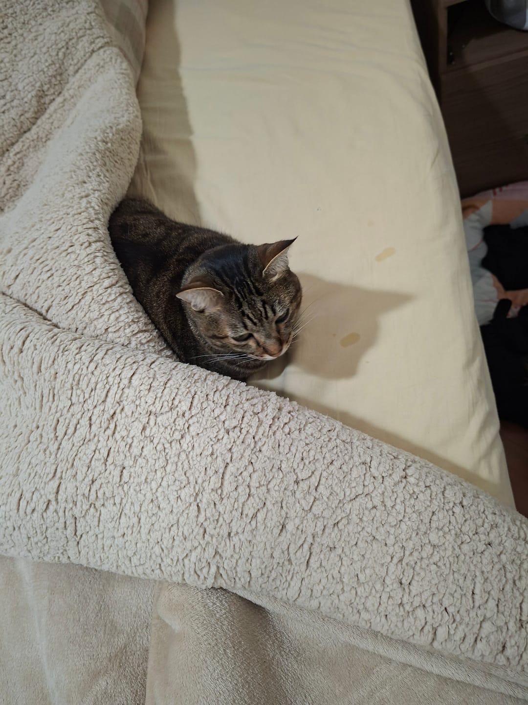 Customer photo review of Cobertor IWS Huggy®