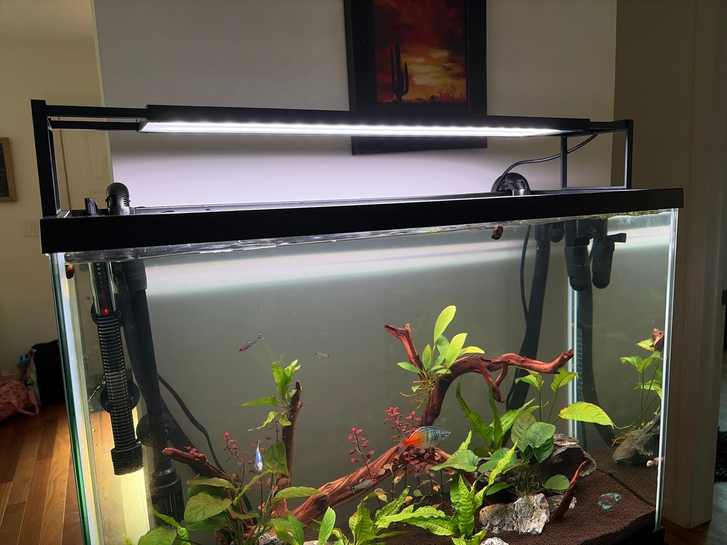 Customer photo review of Chihiros WRGB II Slim LED Light
