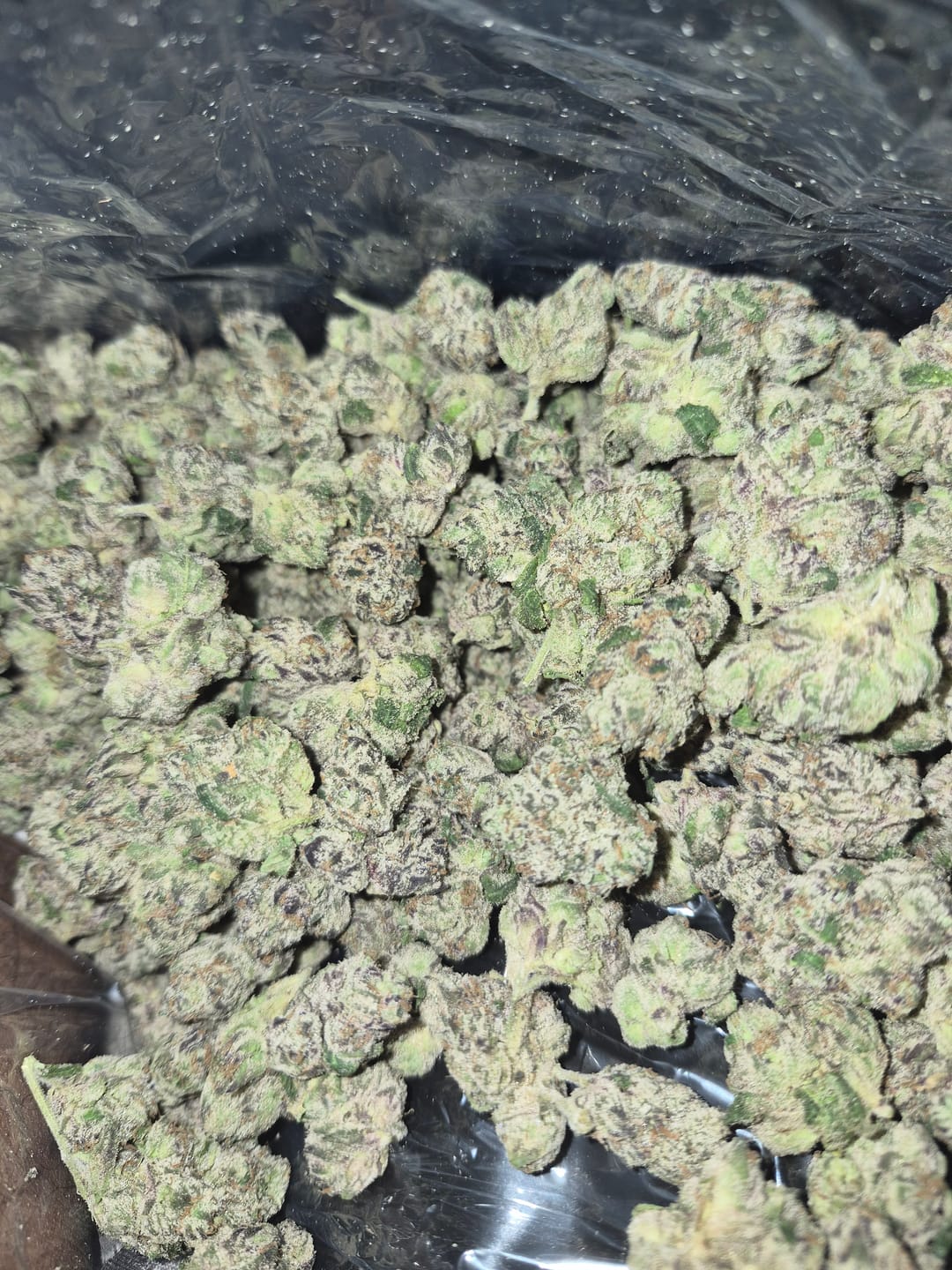Customer photo review of Boutique Exotics Obama Runtz - Bulk - Hybrid