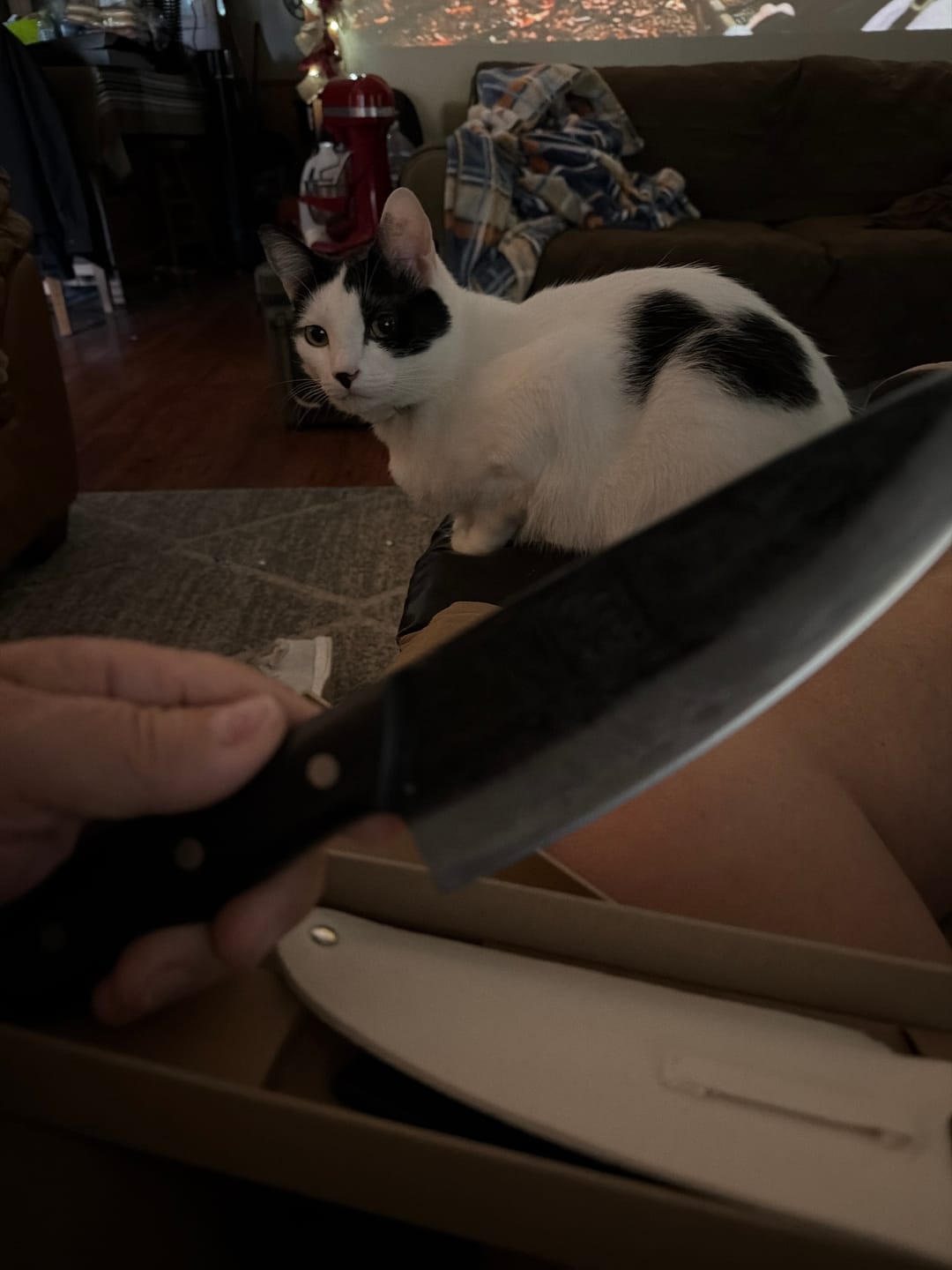 Customer photo review of Shark 5.8" Cleaver Knife