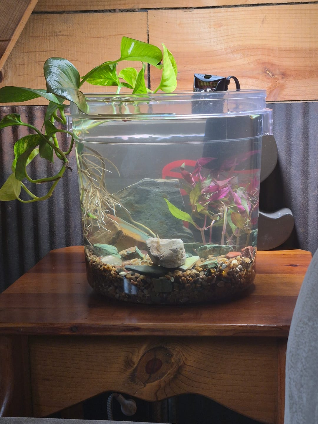 Customer photo review of Phantom Clear 5 Gallon Wash Bucket