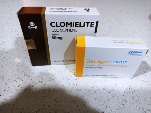 Customer photo review of Paquete Post-ciclo para principiantes o intermedios | Gonadotropina (HCG), & Clomifeno