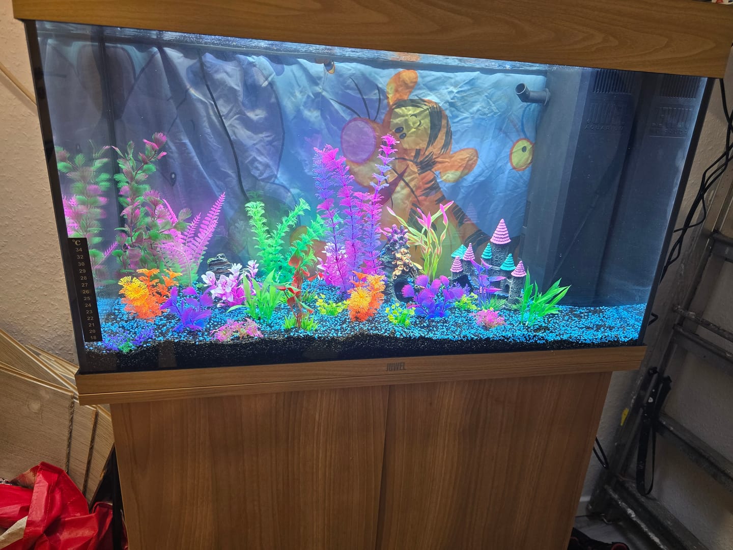 Customer photo review of Aquarium Rio 125 LED Chêne Équipé JUWEL - 125L