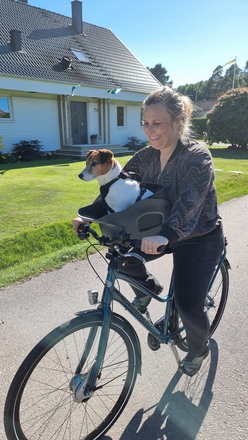 Customer photo review of Kvisp Dog Bike Carrier