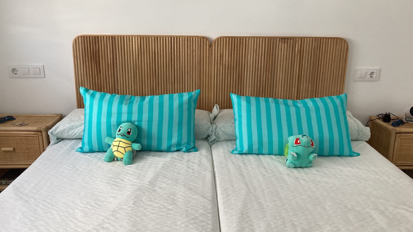Customer photo review of HORSENS - Tête de lit 90 en bois
