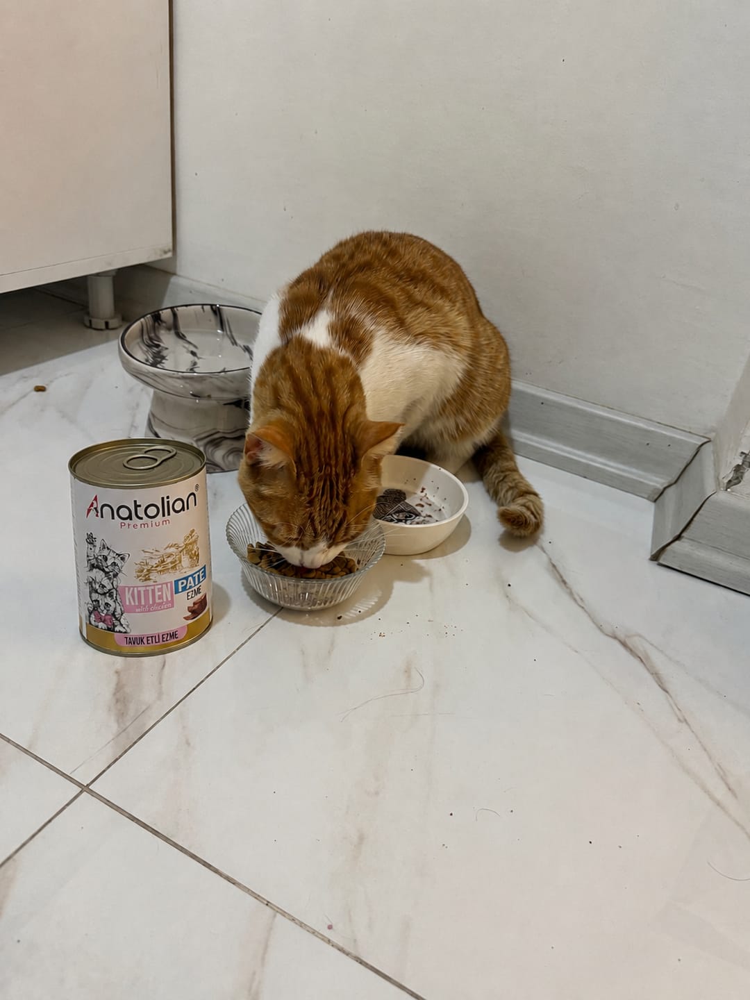 Customer photo review of Tavuklu Ezme Yavru Kedi Konservesi 400 gr x 24 adet