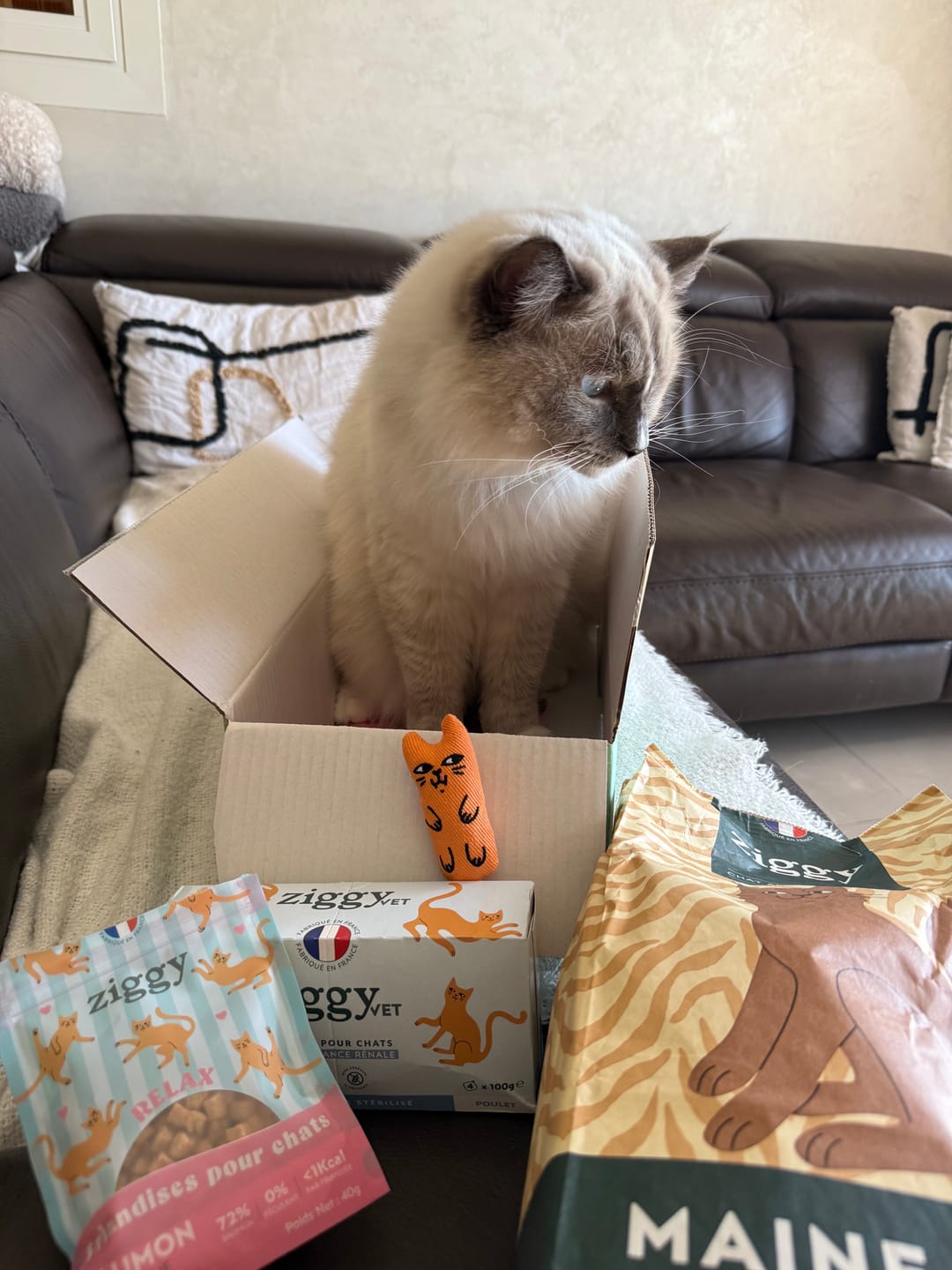 Customer photo review of Croquettes Maine Coon Stérilisé Sans Céréales - Poulet
