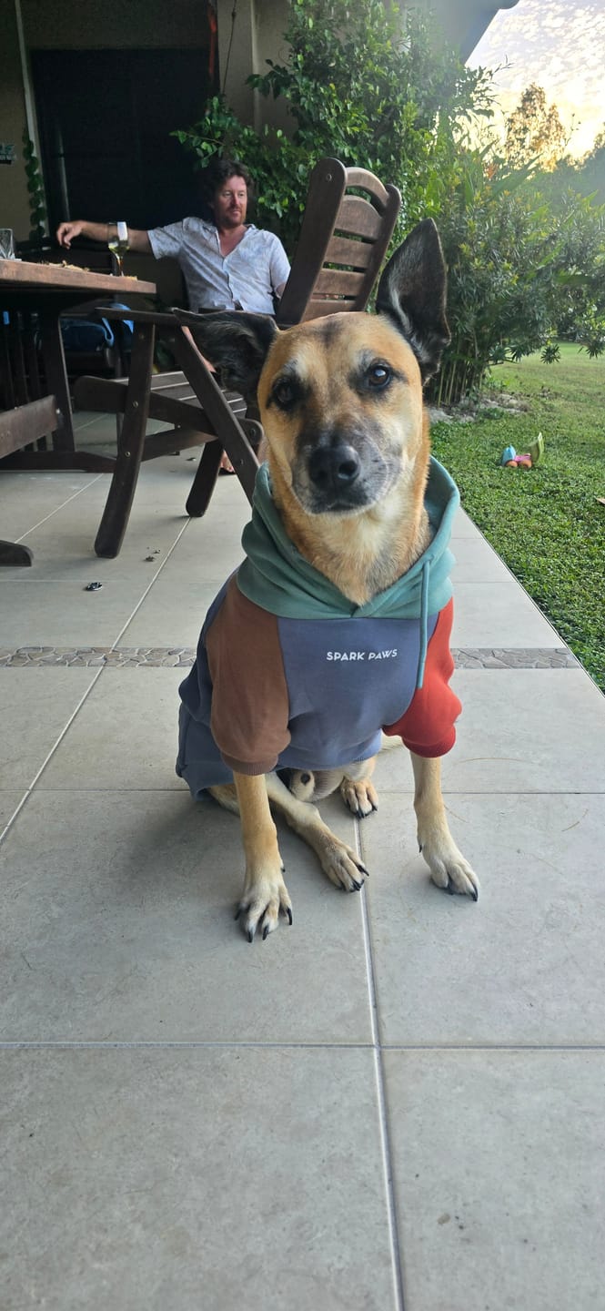 Customer photo review of Alpine Dog Hoodie