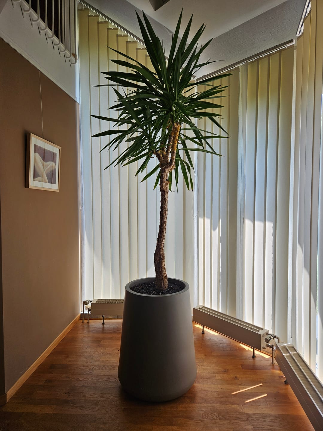Customer photo review of Pot - ULM  Rond