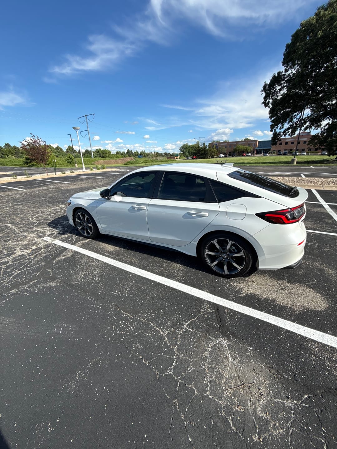 Customer photo review of BLACKLINE® SPEED GLOSS QUICK DETAILER