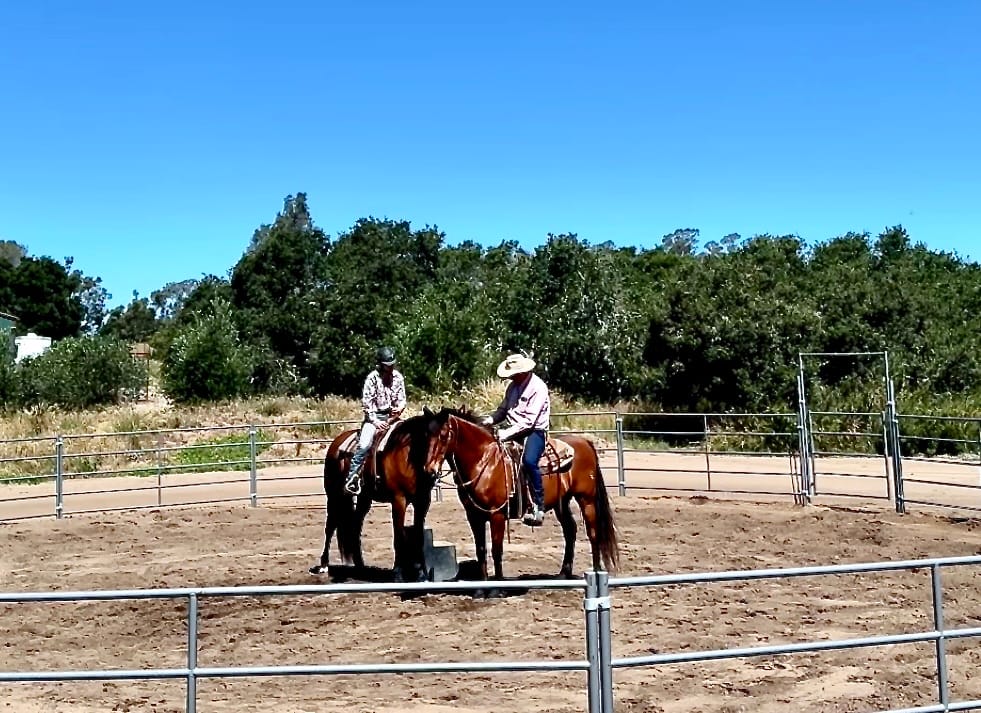 Customer photo review of Premium 12x5 Horse Corral Panel (5 Rail) 1-5/8" 14 Gauge *Powder Coated Dapple Grey*