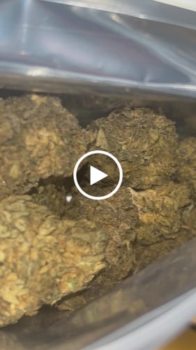 Customer video review of Cheap THCA Flower Ounce
