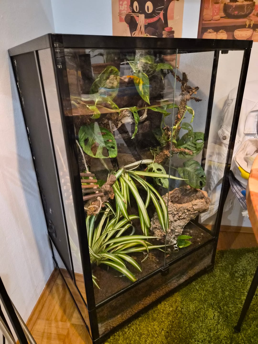 Customer photo review of Terrarium REPTIZOO Démontable et Étanche - 60 x 45 x 90 cm