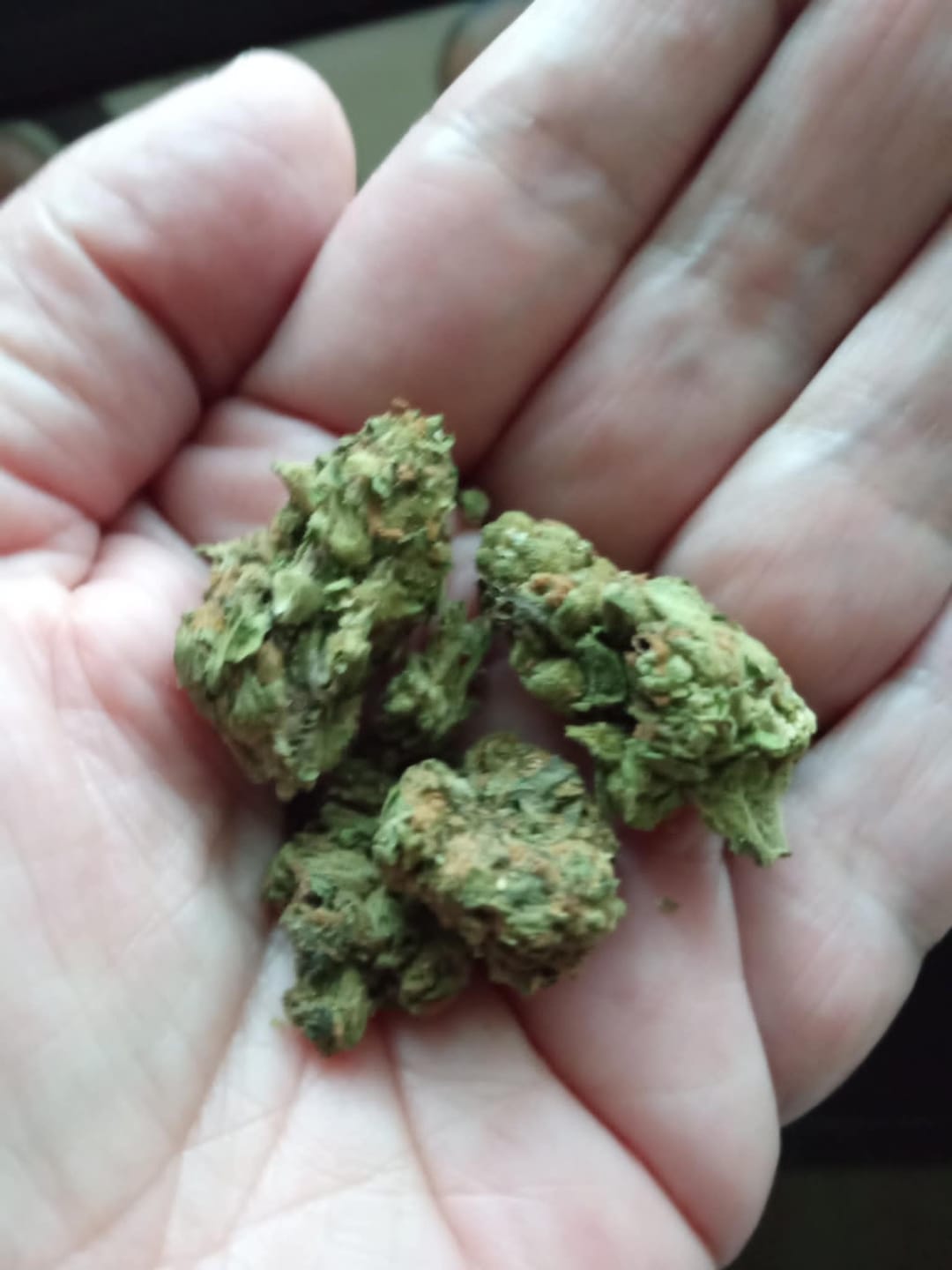 Customer photo review of Blueberry Syrup - Minis - 28 Grams - Indica