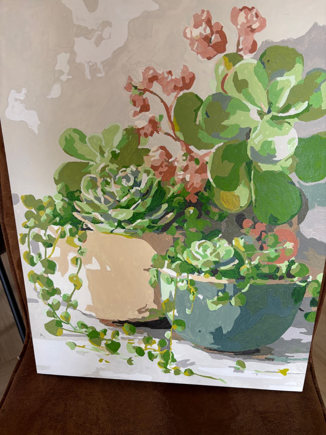 Customer photo review of Lentesucculenten
