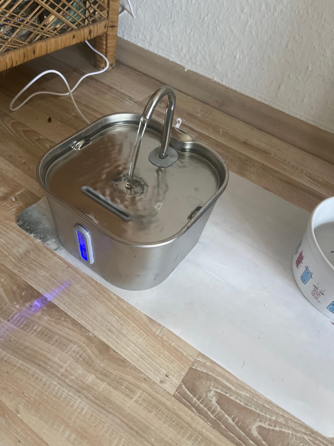 Customer photo review of NordFlow Mini Katzenbrunnen