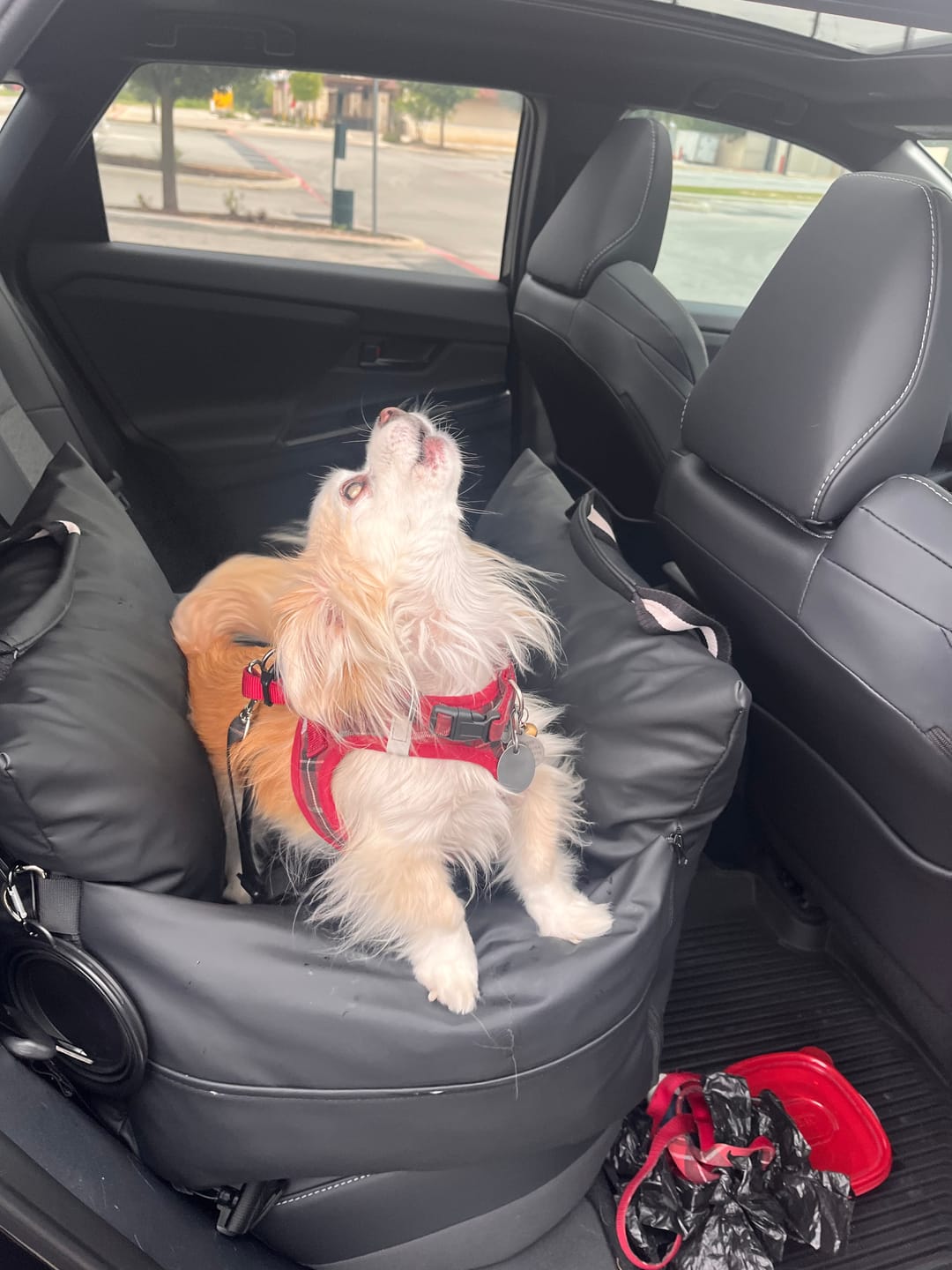 Customer photo review of The Dog Dock V2 New & Improved with LATCH / ISO FIX anchors