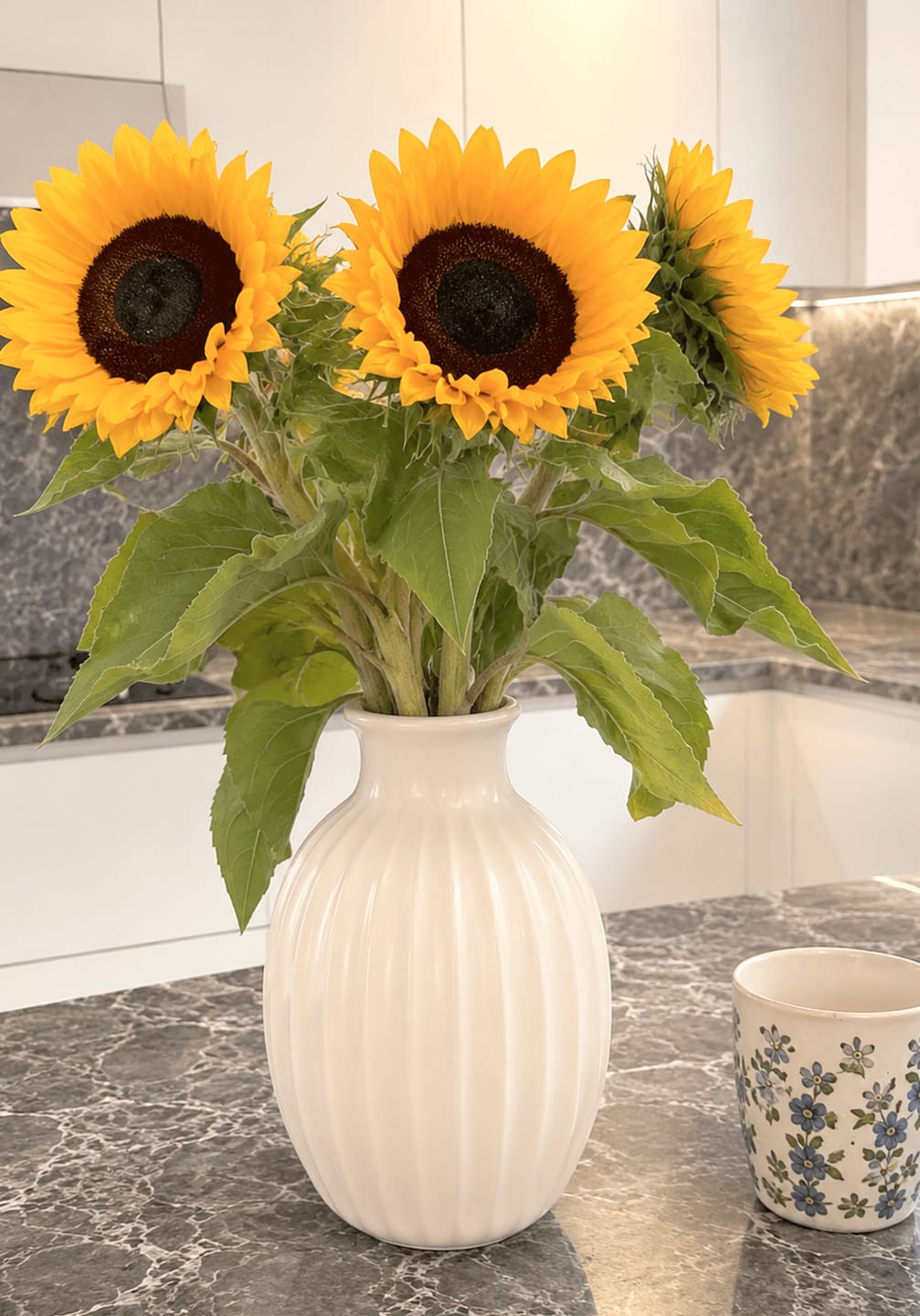 Customer photo review of Girasol Amarillo