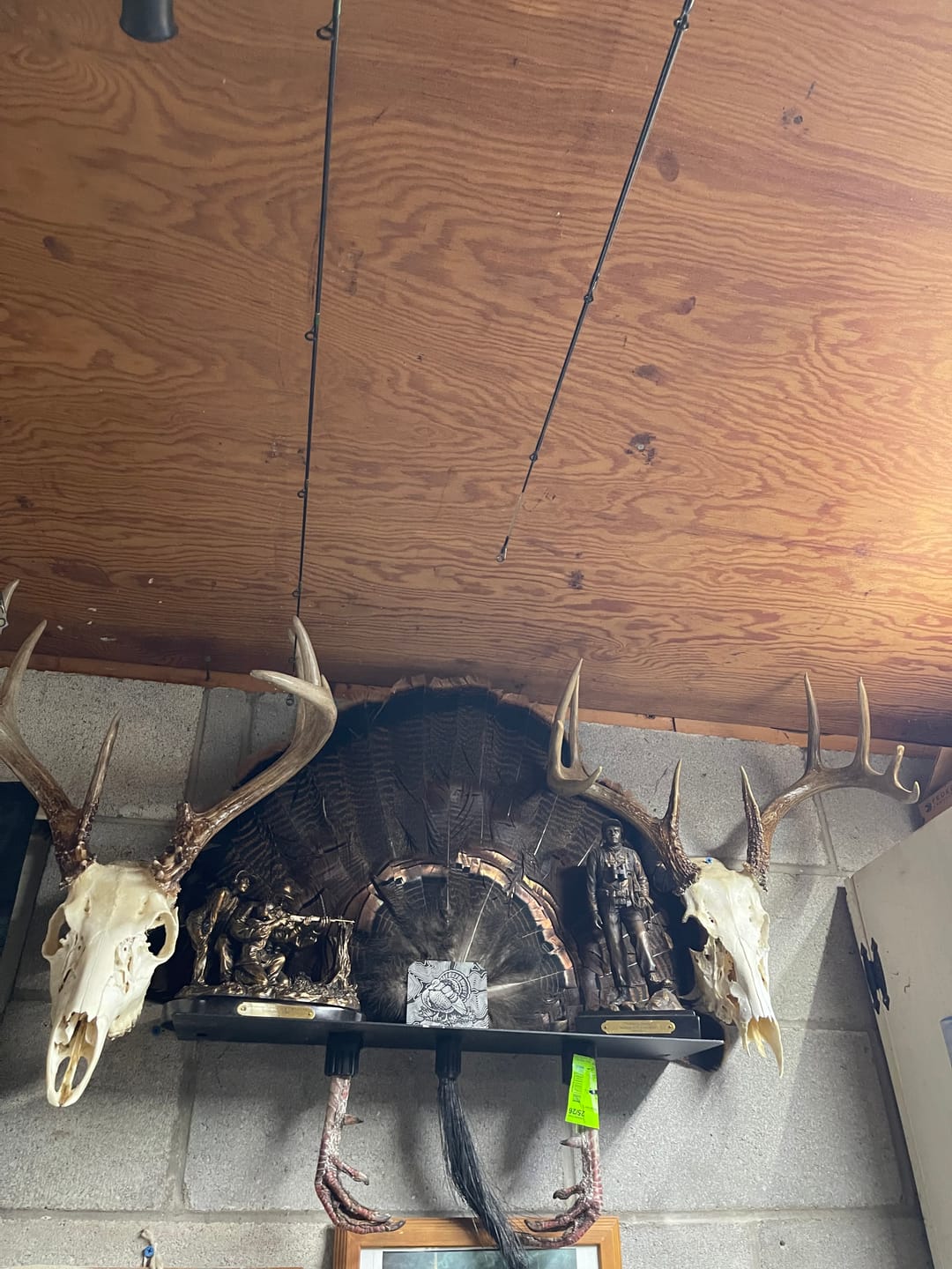 Customer photo review of Beard Shelf | Turkey Beard/Leg/Fan System