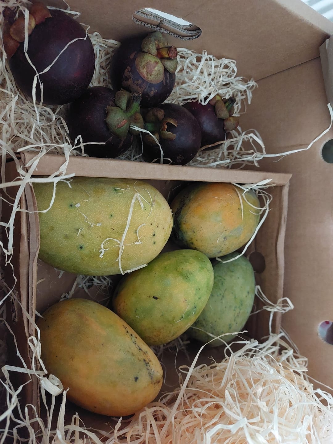 Customer photo review of Mango Mingolo baumgereift Sonderaktion % 2kg Box