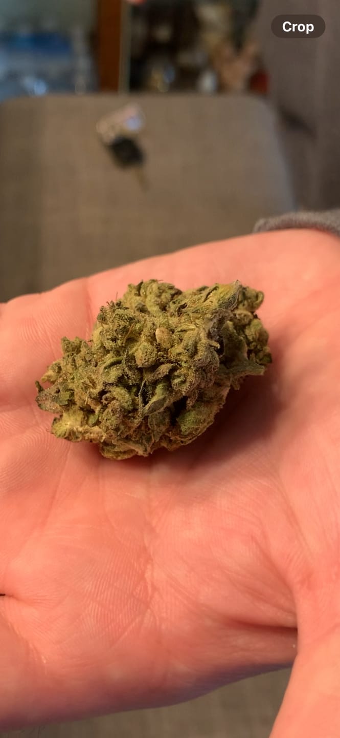 Customer photo review of Fruity Pebbles OG - 28 Grams - Indica