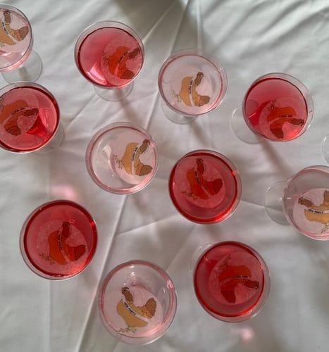 Customer photo review of Cocktail Party Bundle