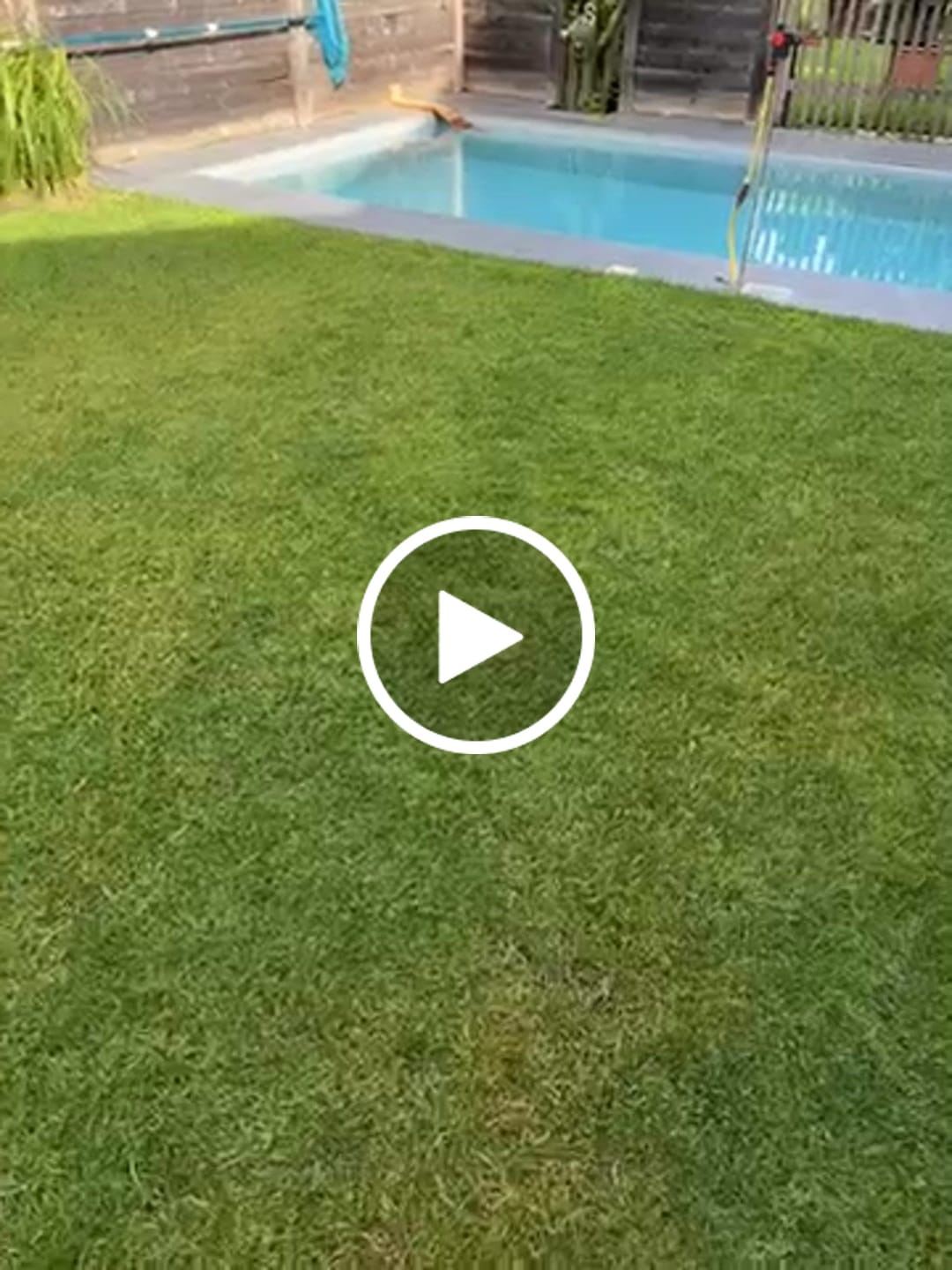 Customer video review of RASENBLITZ™ - FRÜHJAHRSDÜNGER