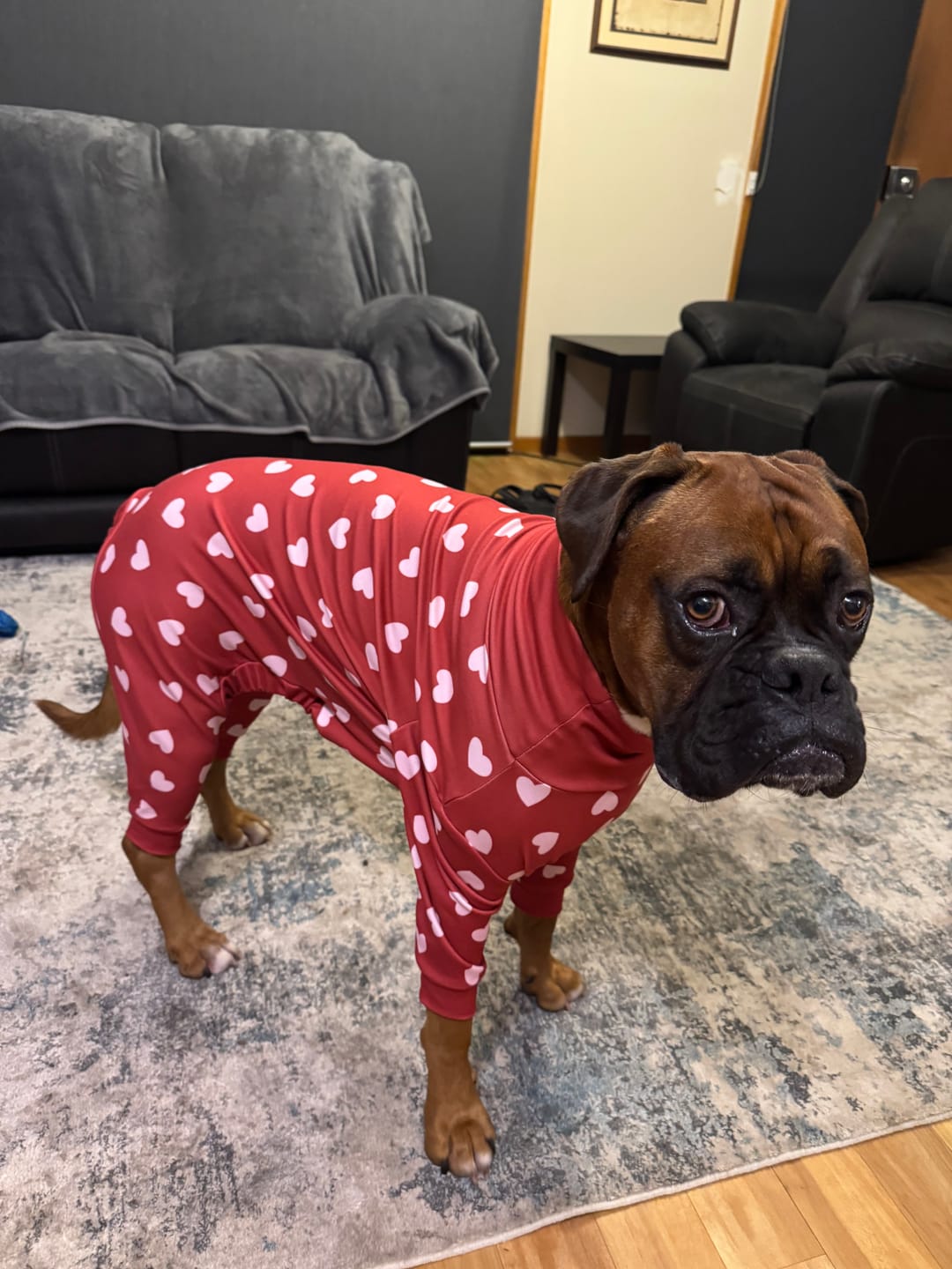 Customer photo review of Dog Pajama - Red Hearts