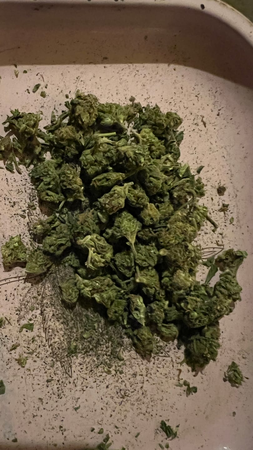 Customer photo review of Green Crack - 28 Grams - Sativa