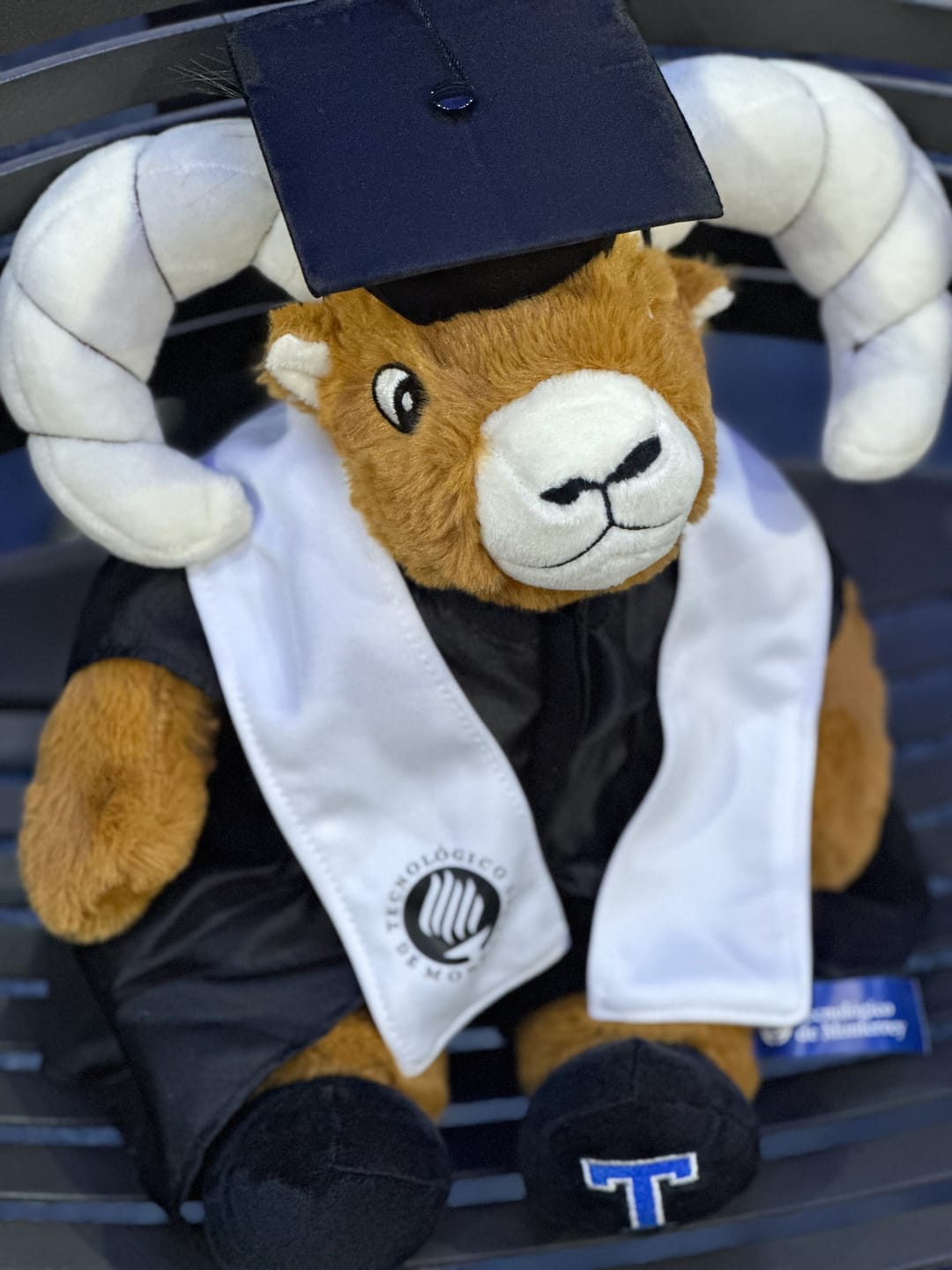 Customer photo review of Peluche TEUS Graduado Prepa