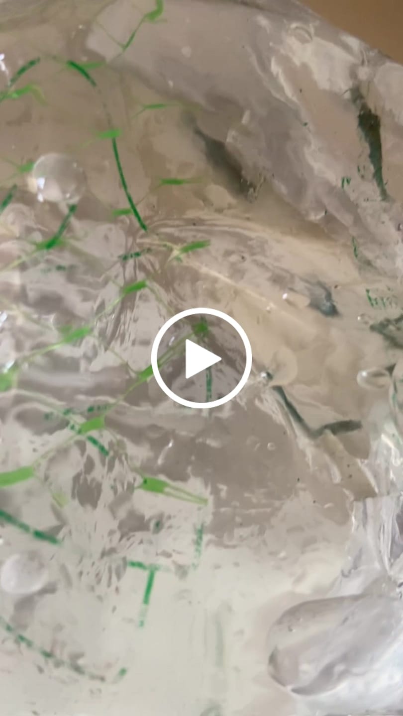 Customer video review of Blue Velvet Shrimp