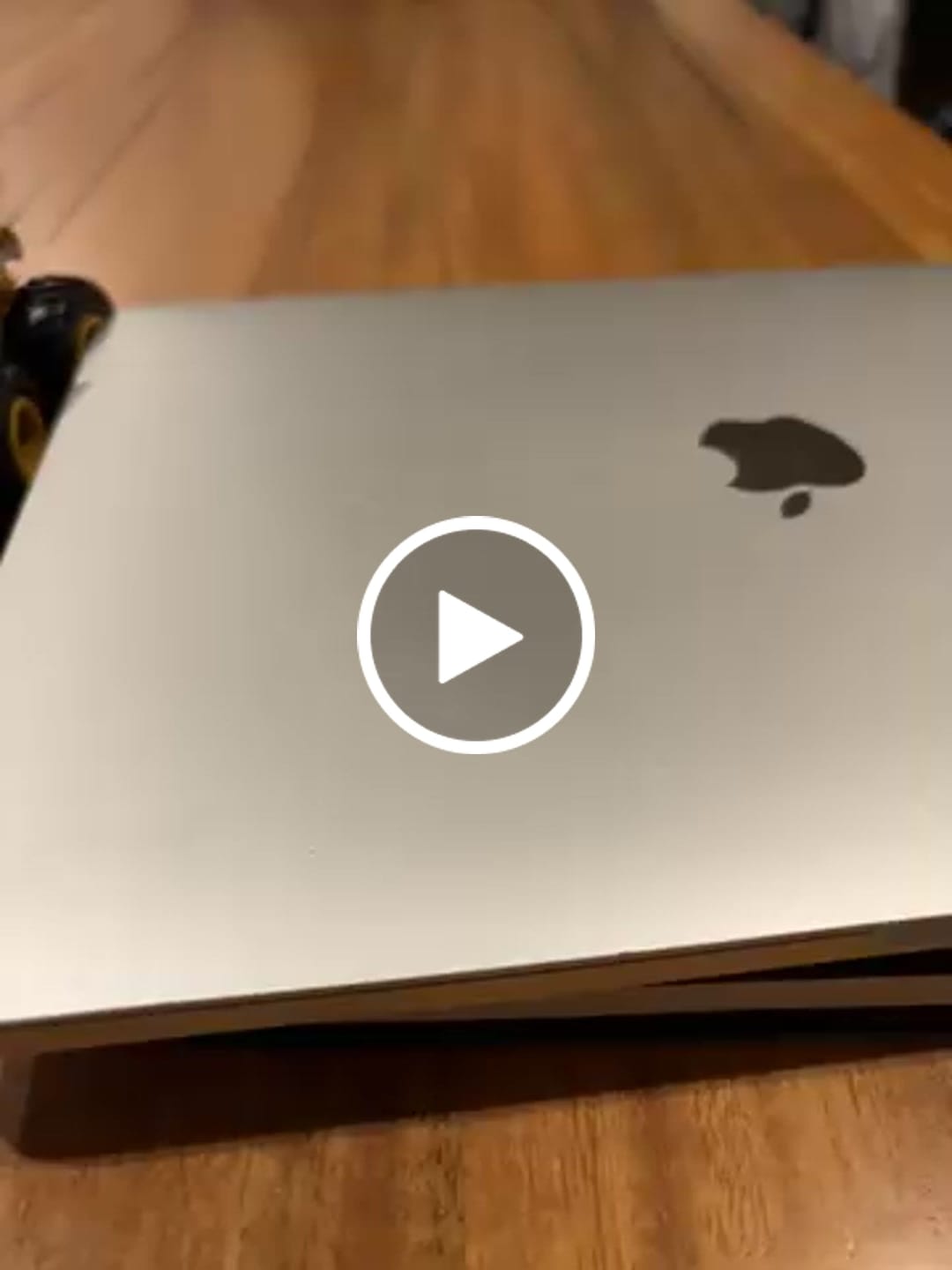 Customer video review of Carry-On: All-in-One