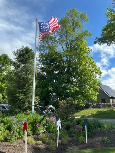Customer's America 250 Betsy Ross Flag waving on a tall flagpole in a landscaped yard.