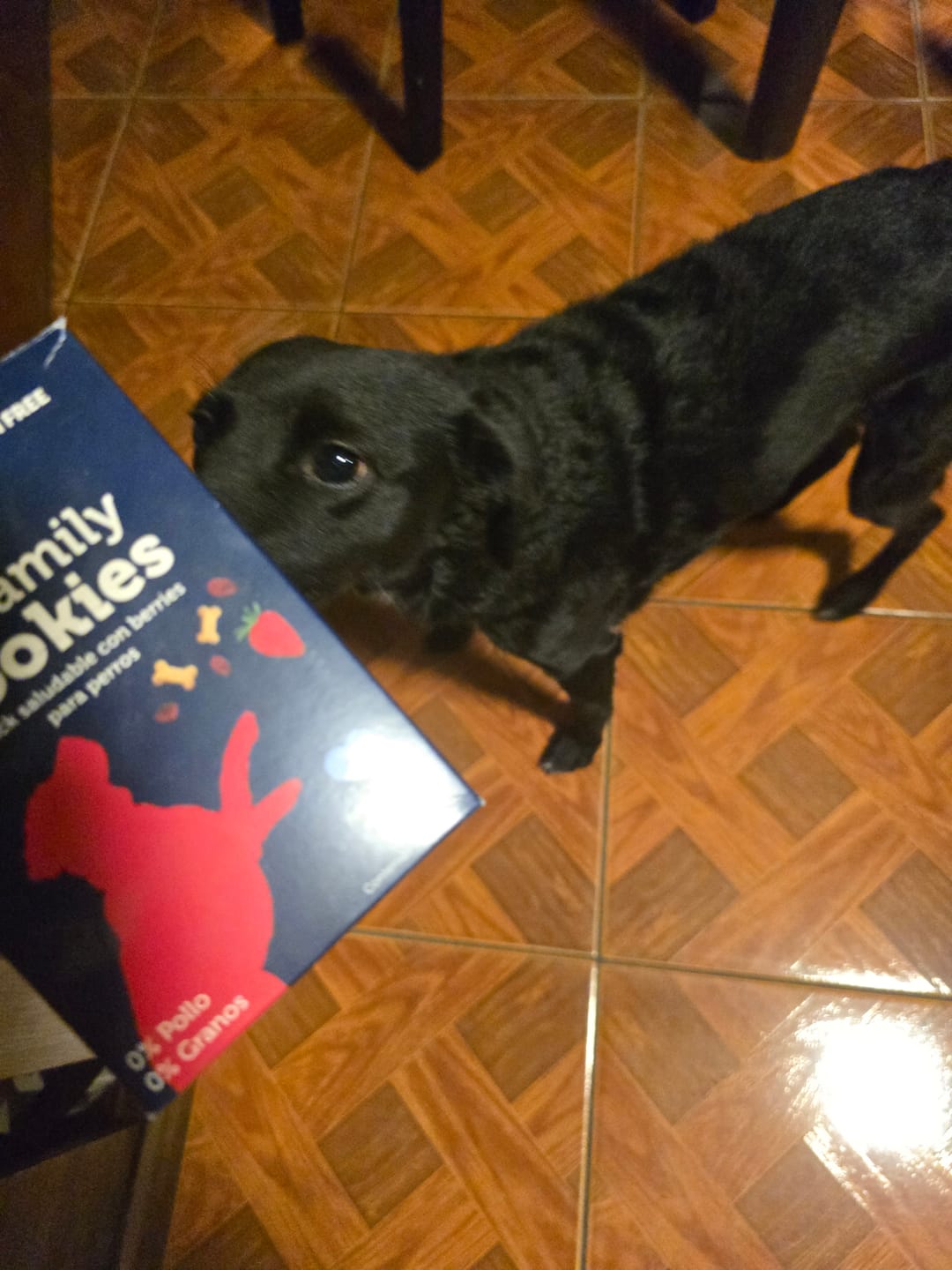 Customer photo review of PetFamily Foods