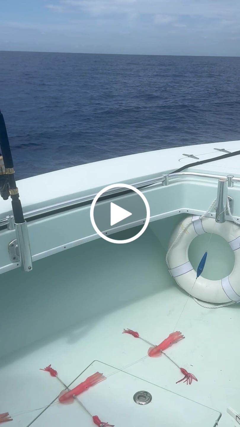 Customer video review of Tuna Magnet – Feathered Trolling Lure for Tuna, Mahi & Pelagic Game Fish