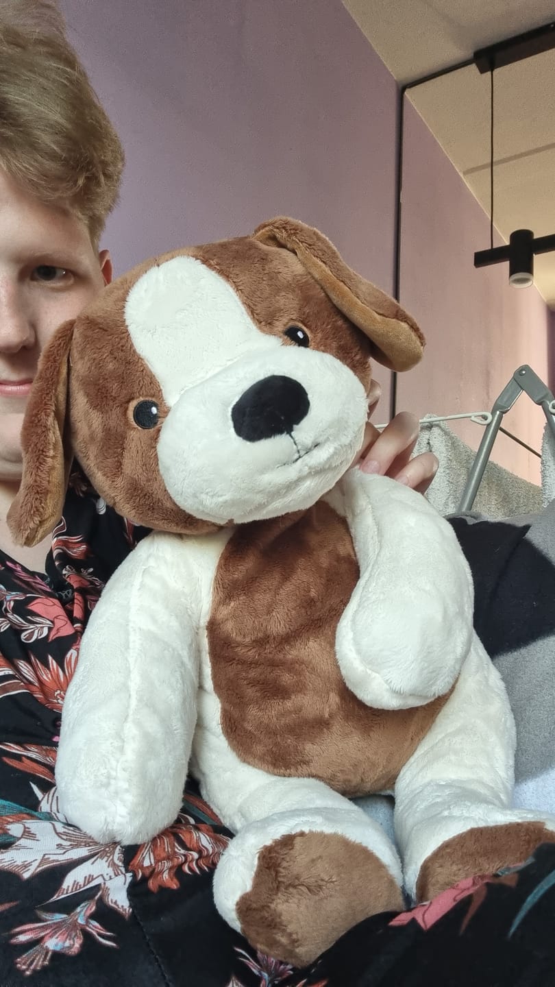 Customer photo review of Lotgenootje Hond 2kg