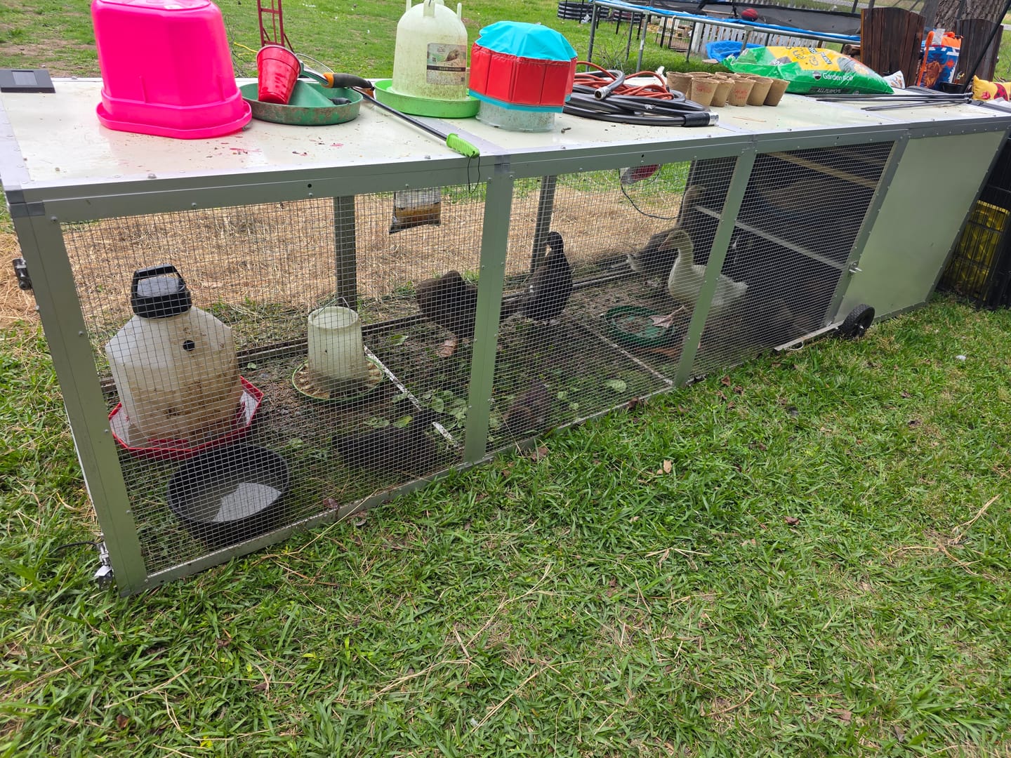 Customer photo review of Mobile Chicken Coop / Chicken Tractor