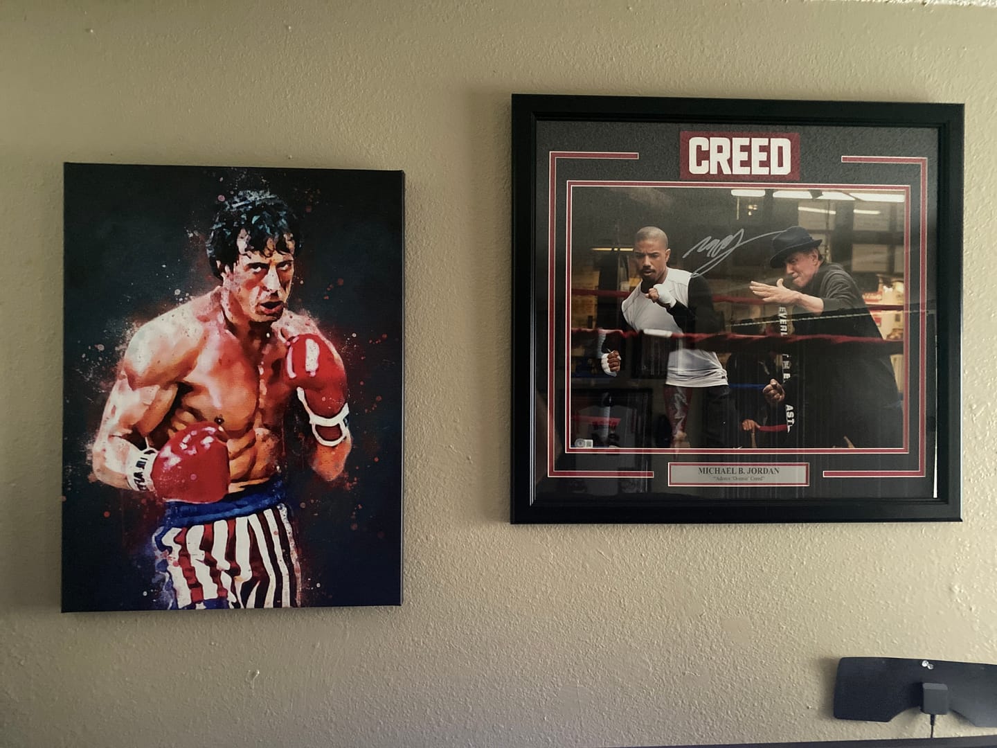 Customer photo review of Rocky Balboa Wall Art