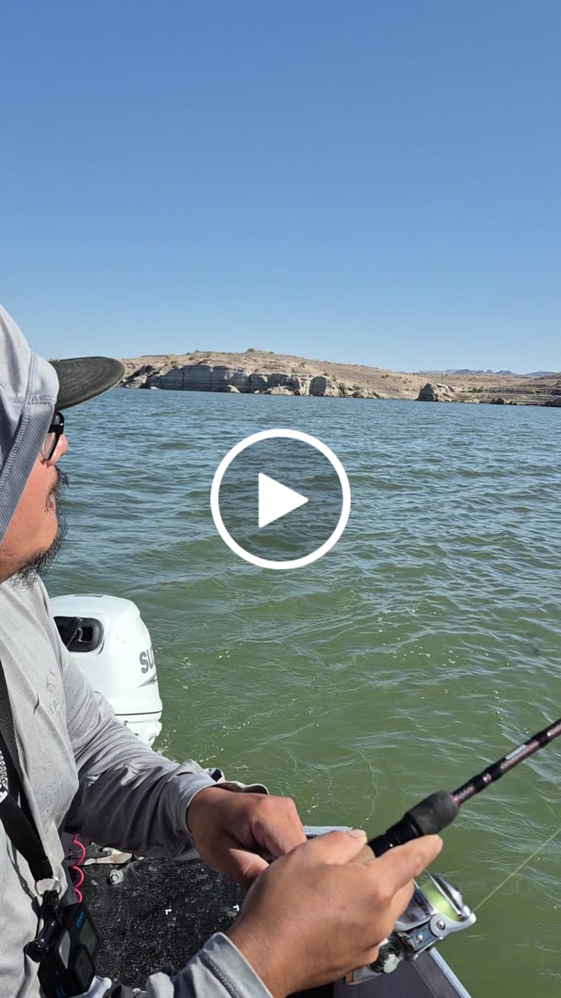 Customer video review of Bulk Braid Spools 2000 Yards - All Colors