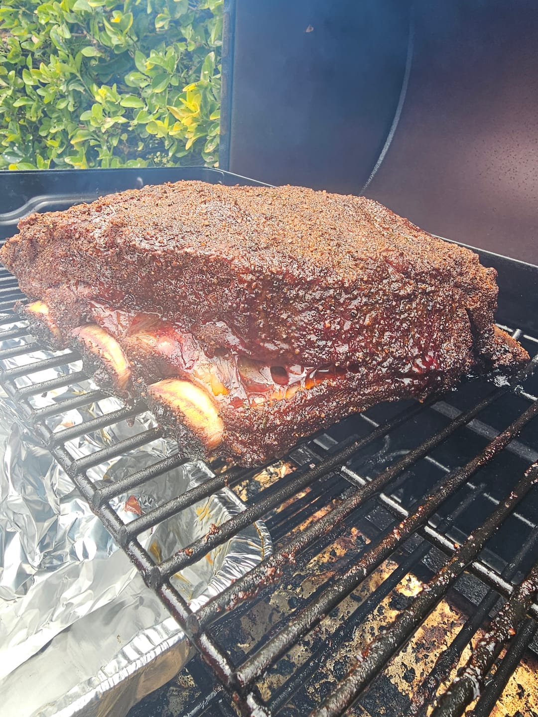 Customer photo review of USDA Choice Bone-In Short Ribs