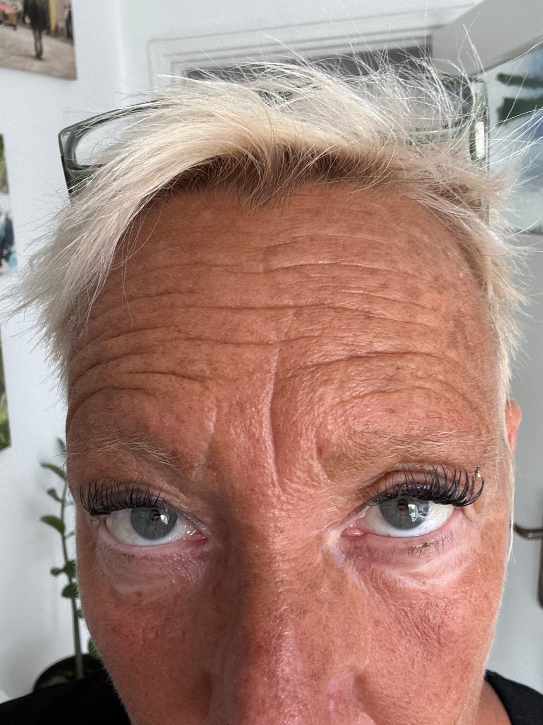 Customer photo review of Toolkit