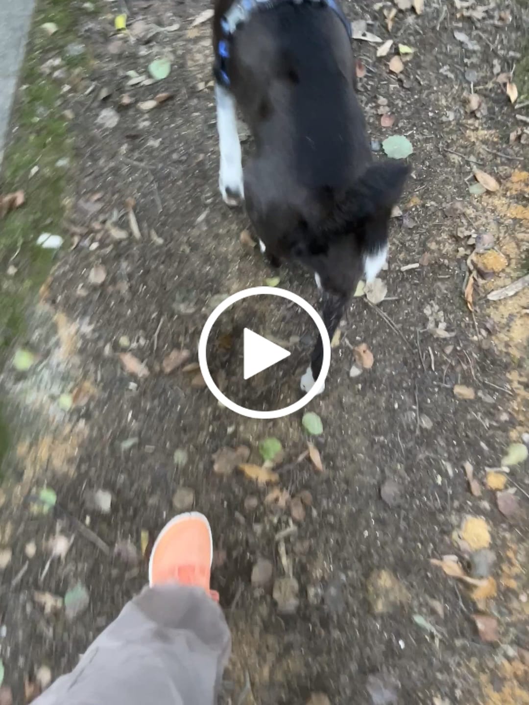 Customer video review of Forestep Ⅰ - Zapatos Barefoot
