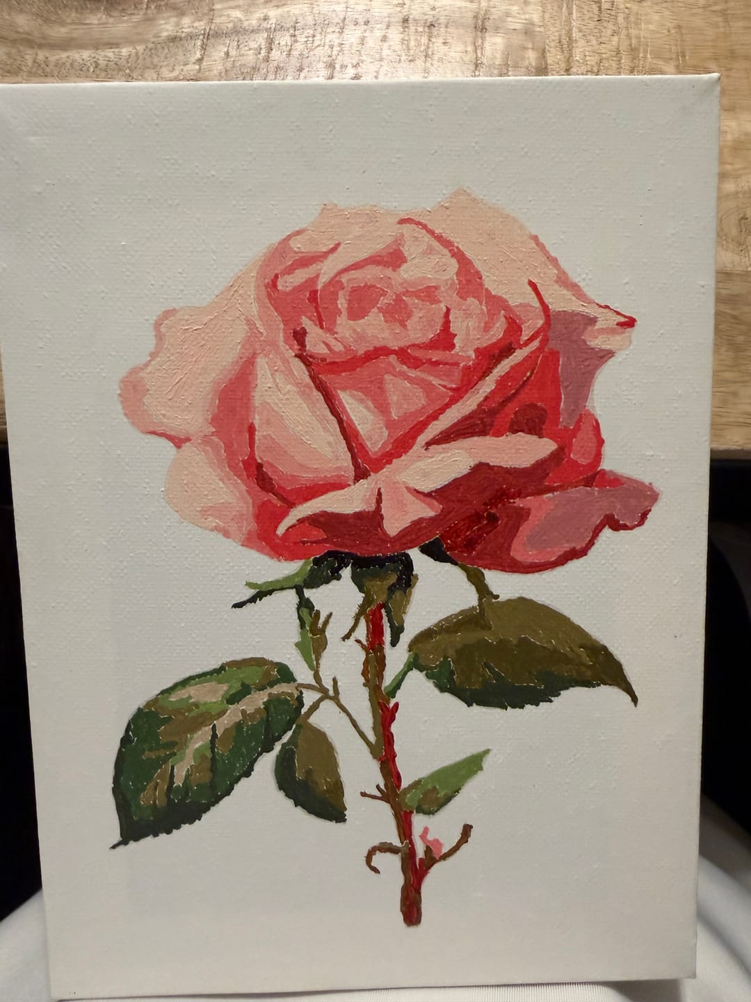 Customer photo review of Set of 6 Mini Paintings - Flowers
