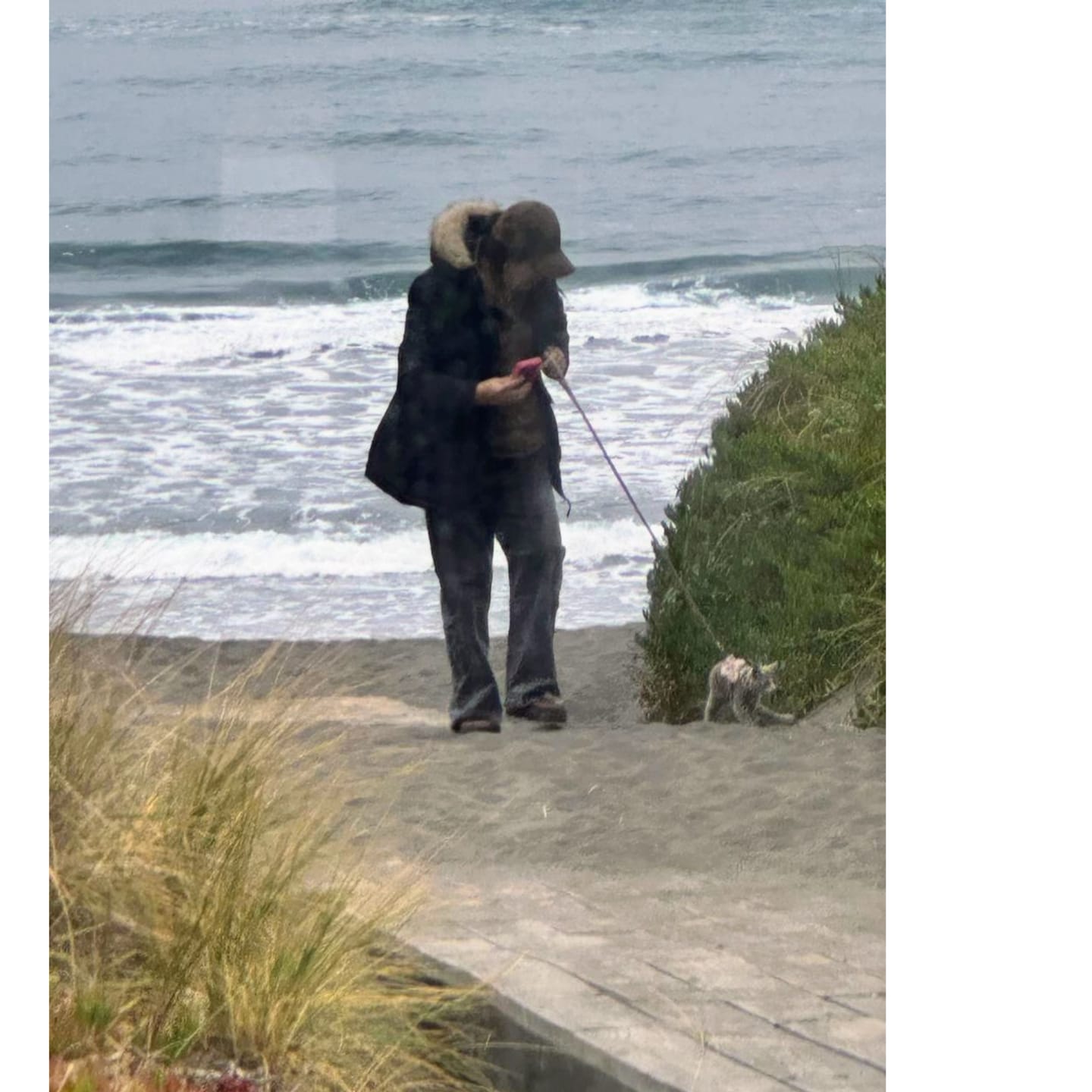Customer photo review of Guía definitiva para sacar a tu gato sin estrés