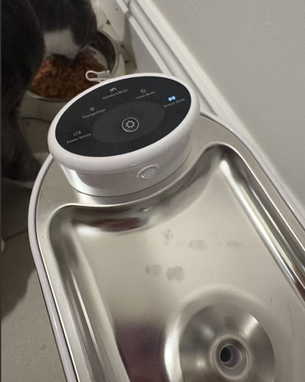 Customer photo review of Petbuds Flow Pet Drinking Fountain