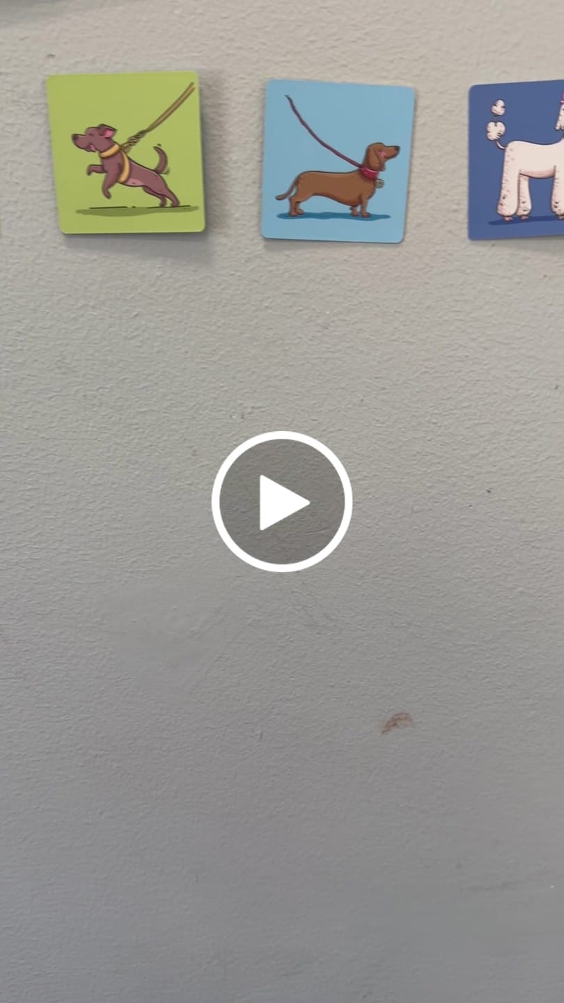 Customer video review of Bjorem Speech Sound Cues® - 2nd Edition