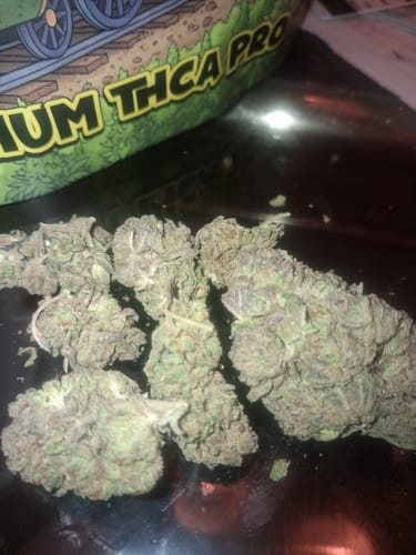 Customer photo review of Sour Tangie THCA Flower